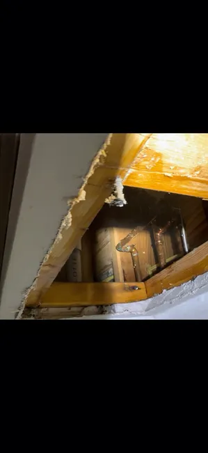 Behind The Wall In The Ceiling Leak Repair