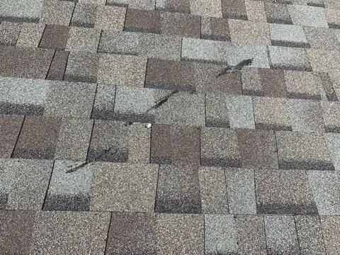 Shingle Roof Replacement