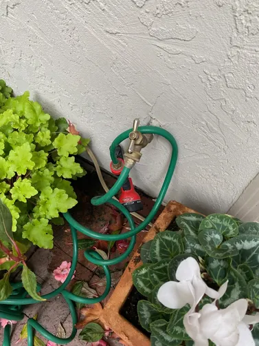 photo at Walnut Creek, CA on May 13, 2026: A leaking hose bib outside was causing concern for the homeowner, necessitating urgent attention. W