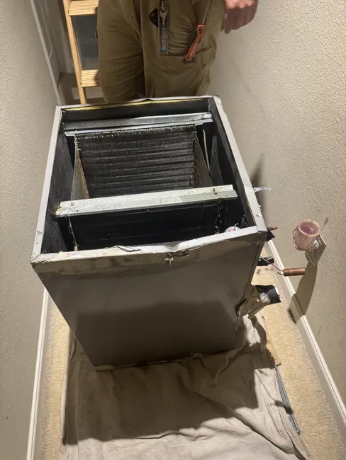 Job in Rosenberg