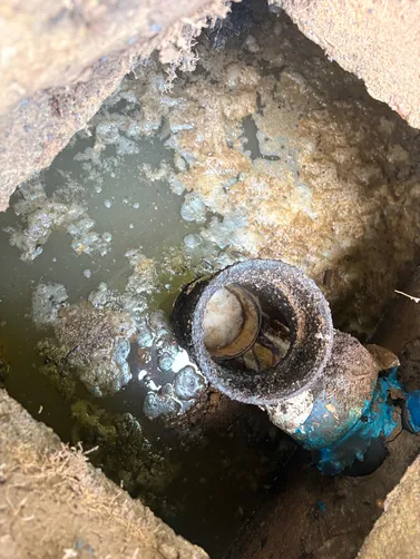 photo at Cottontown, TN on Jun 29, 2026: A septic tank pump-out was performed to maintain the system's functionality. We safely pumped the s photo at Cottontown, TN on Jun 29, 2026: A septic tank pump-out was performed to maintain the system's functionality. We safely pumped the s