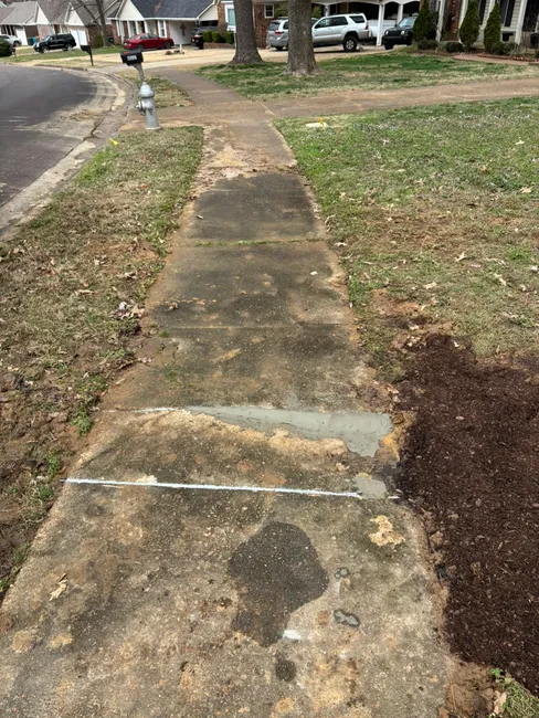 Water Leak In The Yard