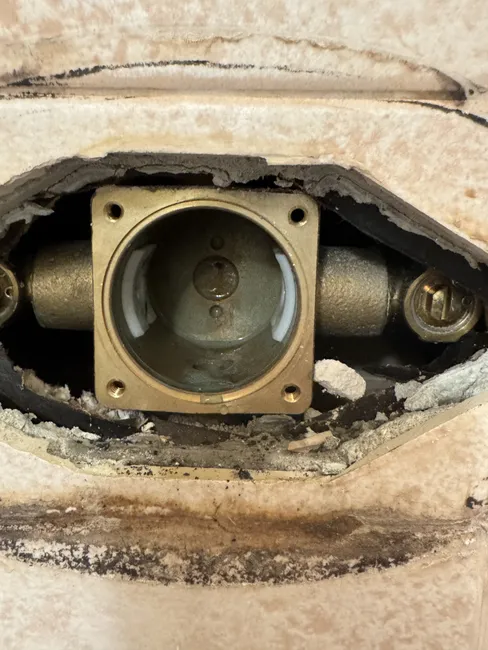 Shower Cartridge Replacement