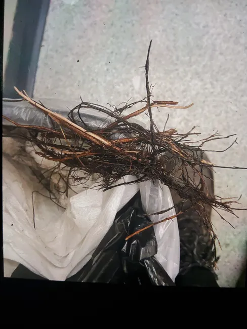 Toilet Repair