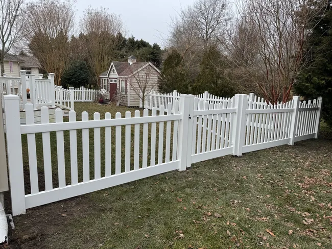 Enhancing pet safety and beauty, we installed a 48