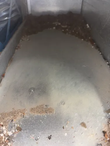 photo at Wichita, KS on Sep 17, 2026: A request for air duct cleaning involved thorough service for two systems, totaling multiple vents. photo at Wichita, KS on Sep 17, 2026: A request for air duct cleaning involved thorough service for two systems, totaling multiple vents.