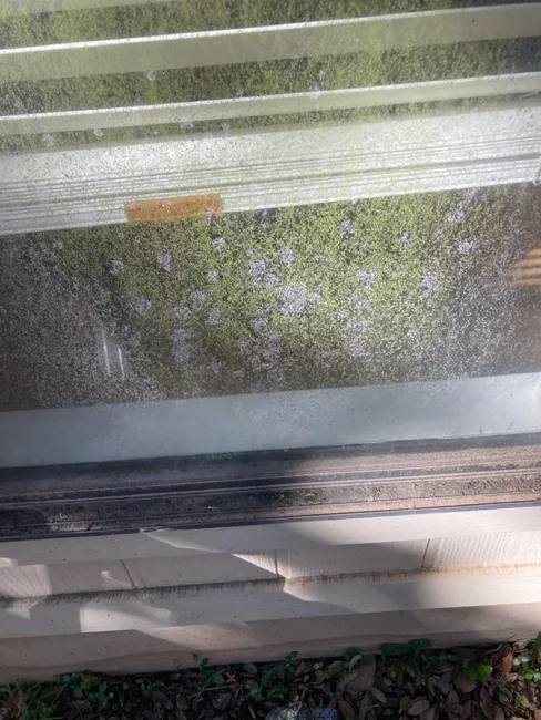 Residential Window Cleaning Experts In Austin Texas
