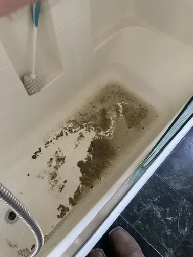 photo at Walnut Creek, CA on Apr 09, 2026: The drain was backing up into the tub, causing inconvenience in the home. We promptly cleared the d