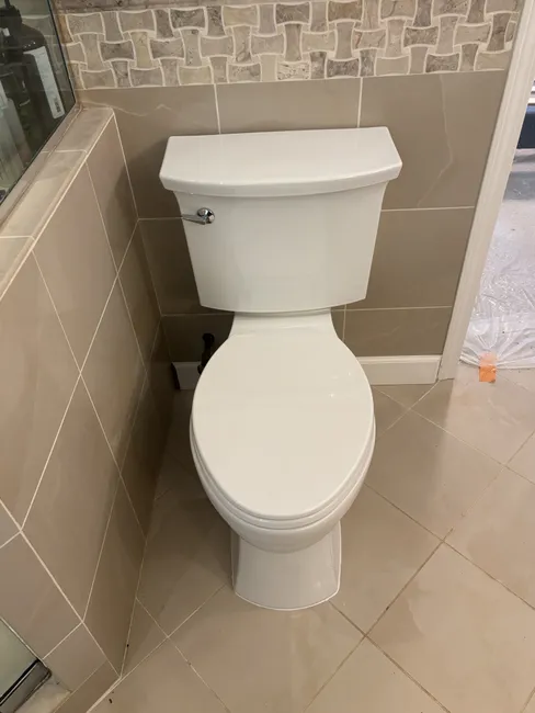 toilet reset