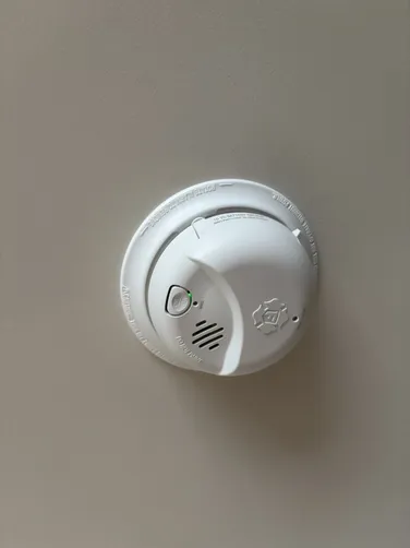 Replaced a single pull switch & multiple smoke & smoke carbons throughout the house.