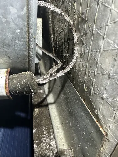 photo at Newton, KS on Sep 30, 2026: The inspection of the air ducts revealed visible mold throughout the home. We conducted a thorough photo at Newton, KS on Sep 30, 2026: The inspection of the air ducts revealed visible mold throughout the home. We conducted a thorough