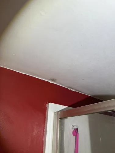 photo at Newton, KS on Sep 17, 2026: A thorough mold evaluation was performed in Newton to assess the property for any potential mold is photo at Newton, KS on Sep 17, 2026: A thorough mold evaluation was performed in Newton to assess the property for any potential mold is