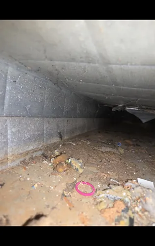 photo at Haysville, KS on Sep 10, 2026: A thorough air duct cleaning was performed, addressing up to 14 vents in the property. We utilized photo at Haysville, KS on Sep 10, 2026: A thorough air duct cleaning was performed, addressing up to 14 vents in the property. We utilized
