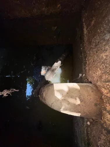 photo at Nashville, TN on Jun 02, 2026: A clogged septic system prompted the need for our services. We successfully pumped the septic syste photo at Nashville, TN on Jun 02, 2026: A clogged septic system prompted the need for our services. We successfully pumped the septic syste