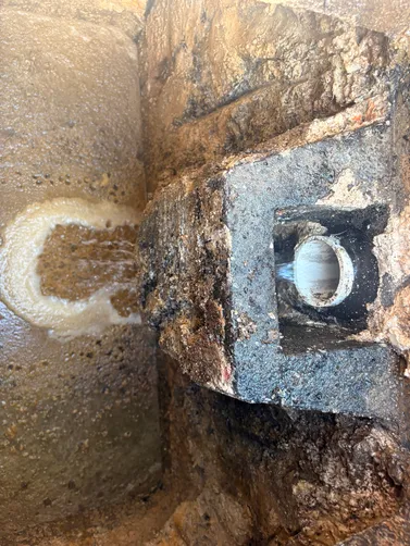 photo at Lafayette, TN on May 28, 2026: A grease trap service was performed at Backyard BBQ in Lafayette. We drained and pumped out the gre photo at Lafayette, TN on May 28, 2026: A grease trap service was performed at Backyard BBQ in Lafayette. We drained and pumped out the gre
