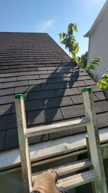 Roof Repair O'Fallon, MO