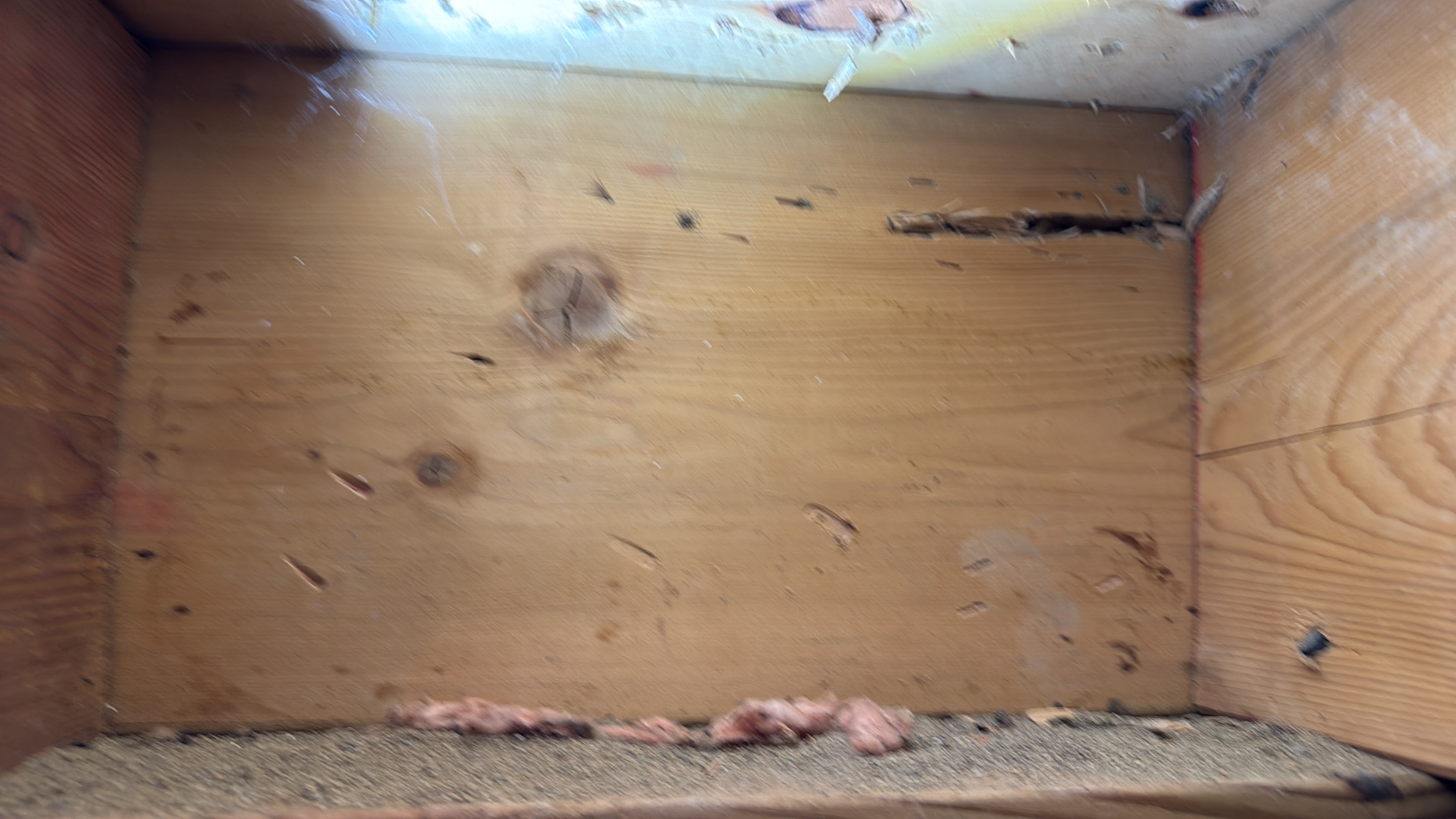 Termite treatment at a Bayville home, May 2026