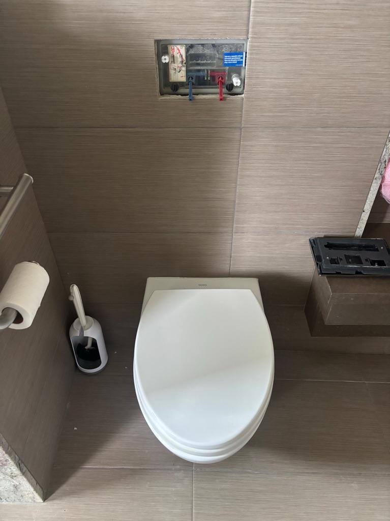 Replacement flush valve assembly for the in-wall Toto unit on the same job