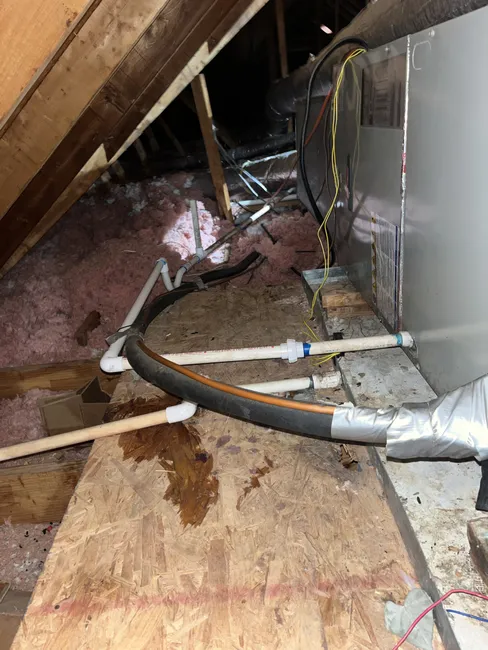 Job in Braxton