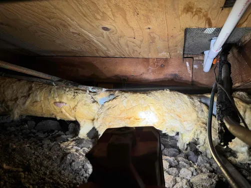 photo at Walnut Creek, CA on Apr 02, 2026: A leak in the water line under the house was causing water damage concerns. We promptly diagnosed t