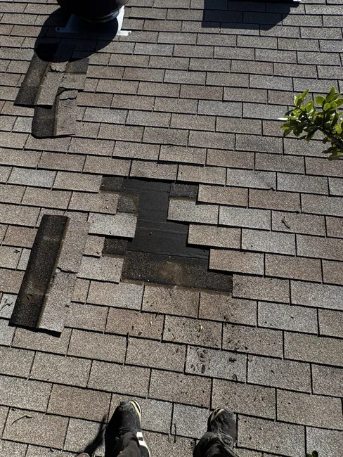 Tree Damage Roof Repair in Leander Texas