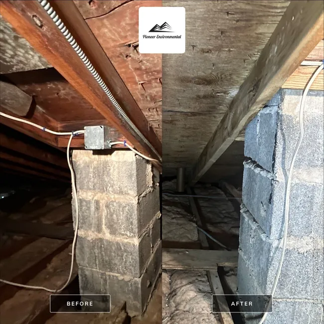 Removal Of Suspect Microbial And Staining In The Attic