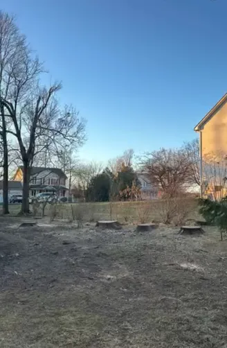 photo at Wappingers Falls, NY on Nov 27, 2024: After concerns about safety due to the proximity of five large maple trees to the home, we efficien