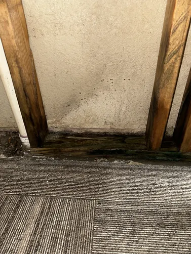 photo at Andover, KS on Oct 14, 2026: A leak behind the shower in a room required prompt attention as mold had developed due to prolonged