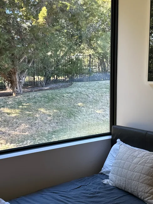Leaf Pick-up And Window Cleaning In Austin Texas
