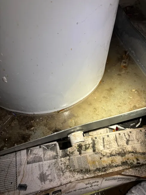 Water Heater Replacement And Washer Backing Up