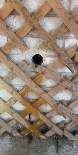 photo at Pearland, TX on Oct 03, 2025: A clogged kitchen sink caused inconvenience and required prompt attention. We utilized a running sn