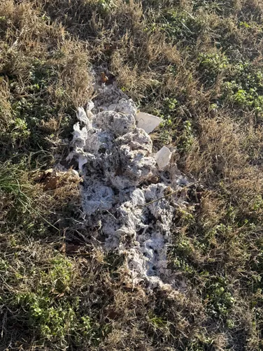 photo at Gallatin, TN on Jan 20, 2026: A septic system that required attention was pumped to ensure proper function. We excavated to locat photo at Gallatin, TN on Jan 20, 2026: A septic system that required attention was pumped to ensure proper function. We excavated to locat