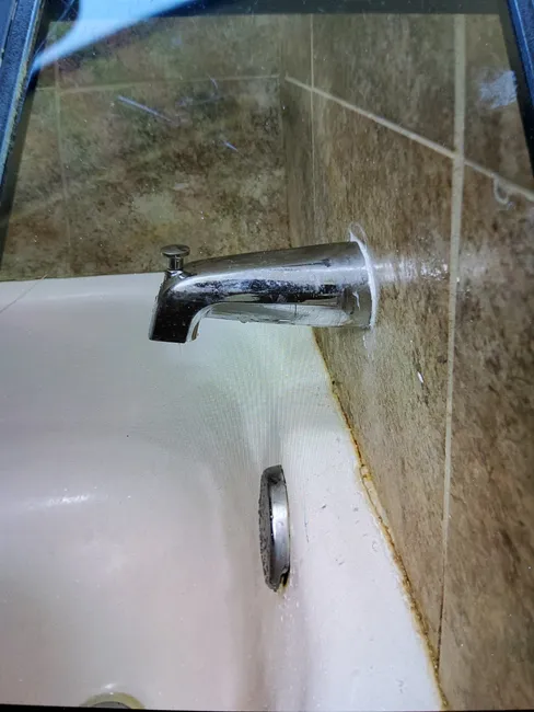 Tub Faucet