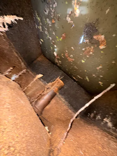 photo at Nashville, TN on Jun 02, 2026: A clogged septic system prompted the need for our services. We successfully pumped the septic syste photo at Nashville, TN on Jun 02, 2026: A clogged septic system prompted the need for our services. We successfully pumped the septic syste