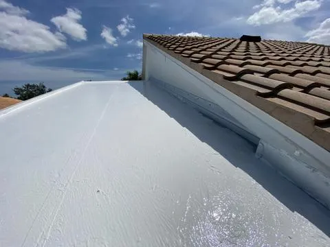 Silicone Coating