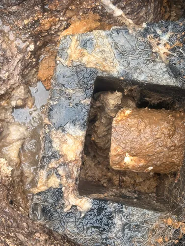photo at White House, TN on May 24, 2026: A septic tank pump was necessary for the property in White House. We efficiently pumped the septic photo at White House, TN on May 24, 2026: A septic tank pump was necessary for the property in White House. We efficiently pumped the septic