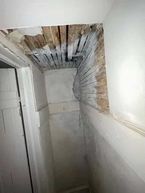 Mold removal and remediation restored the home's safety, enhancing indoor air quality and peace of mind.