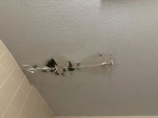 photo at Wichita, KS on Aug 21, 2026: A mold remediation task was performed in Wichita to address potential health concerns related to mo photo at Wichita, KS on Aug 21, 2026: A mold remediation task was performed in Wichita to address potential health concerns related to mo