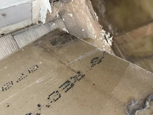 photo at Wichita, KS on Sep 15, 2026: A specific area in the basement required the removal of building material as indicated in the AMEI 