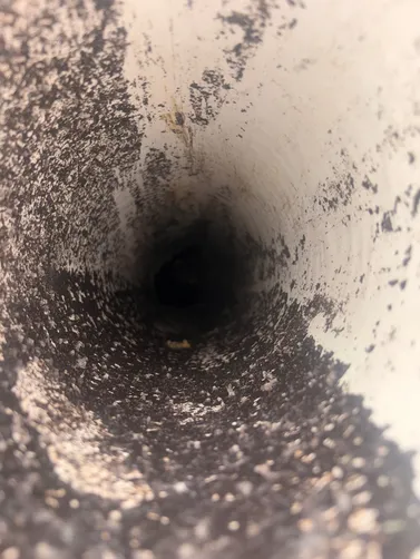 photo at Westmoreland, TN on Jun 26, 2026: To address the septic system needs in Westmoreland, we pumped the septic tank efficiently and trans photo at Westmoreland, TN on Jun 26, 2026: To address the septic system needs in Westmoreland, we pumped the septic tank efficiently and trans
