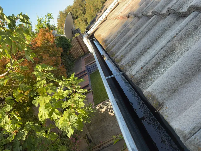 At a property in Fairfield, we ensured complete gutter and downspout cleaning, preventing water damage and ensuring proper drainage.