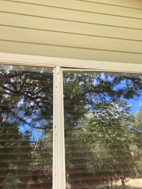 Job in Austin