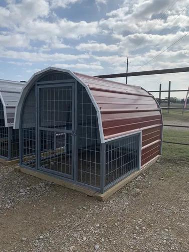 photo at Longview, TX on Dec 11, 2025: 4x5.5(3'8