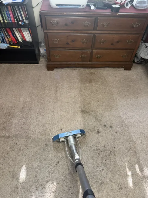 Our team tackled carpet urine contamination, neutralizing odors and sanitizing fibers for lasting freshness.