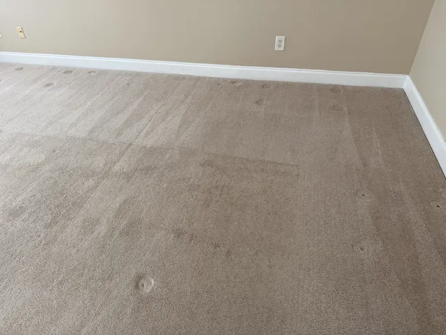 In a residential space, we refreshed 11 areas and stairs, eliminating odors and restoring comfort.