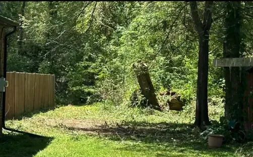 photo at Pleasant Valley, NY on Jul 01, 2024: Concerns about overgrown trees prompted us to perform tree pruning to ensure safety for the home an