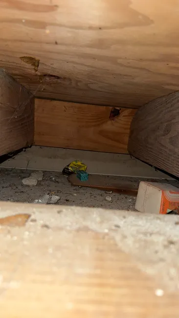 Evidence of rodent activity prompted swift action as we treated affected areas and set bait stations. A follow-up is scheduled to ensure lasting control.