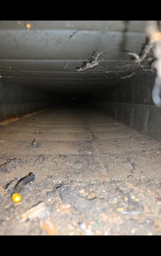 photo at Haysville, KS on Sep 10, 2026: A thorough air duct cleaning was performed, addressing up to 14 vents in the property. We utilized photo at Haysville, KS on Sep 10, 2026: A thorough air duct cleaning was performed, addressing up to 14 vents in the property. We utilized