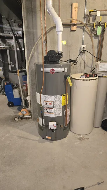 Job in Edina