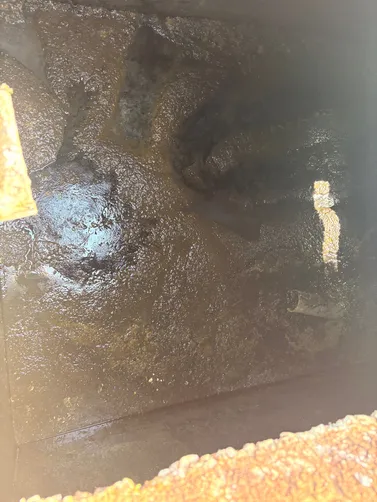 photo at Cottontown, TN on Jun 29, 2026: A septic tank pump-out was performed to maintain the system's functionality. We safely pumped the s photo at Cottontown, TN on Jun 29, 2026: A septic tank pump-out was performed to maintain the system's functionality. We safely pumped the s